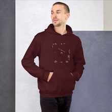 Load image into Gallery viewer, GIMBAL - UFO Disclosure Hoodie (Black/Navy/Maroon)